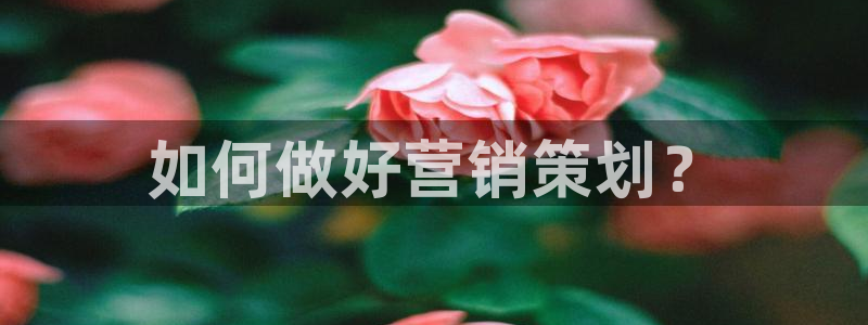 7321必赢安全吗