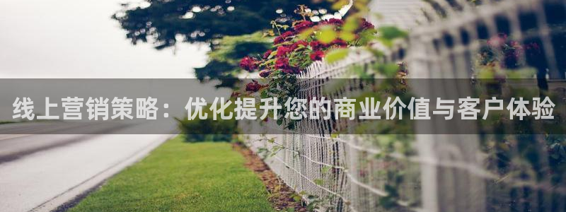 必赢516net怎么进