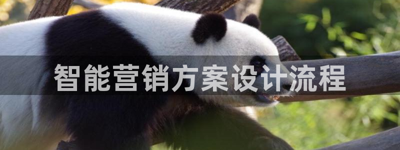 必赢下载软件