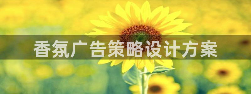 95必赢网址多少