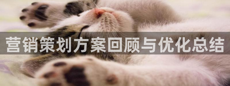 必赢网址谁知道是真的
