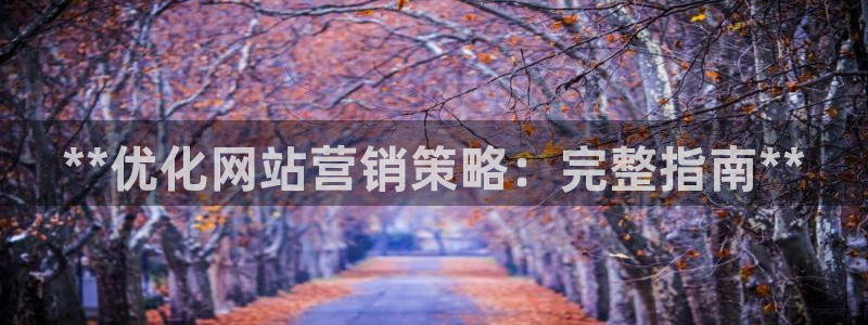 必赢网站进去