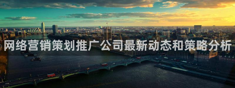 必赢网站是多少啊