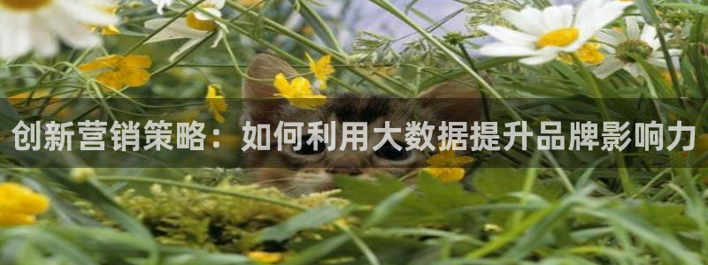 9965必赢游戏版本
