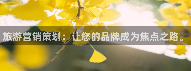 必赢手机app下载 最新版本