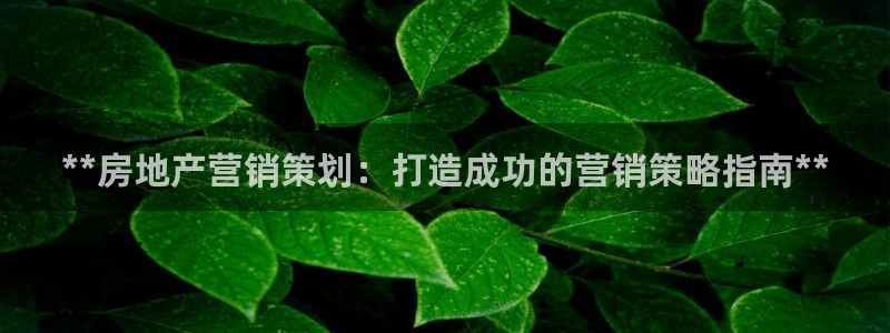 必赢平台官方网站登录