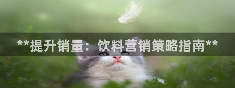 必赢国际怎么样