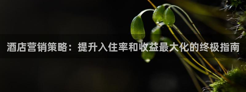 必赢3003网官
