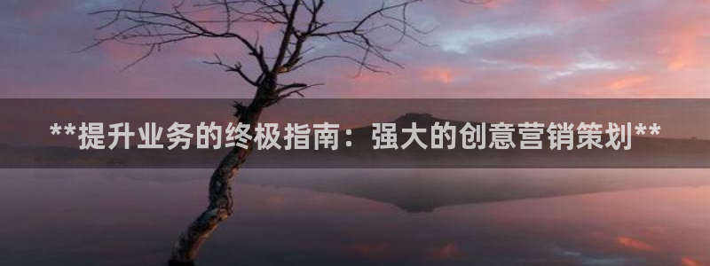 必赢网址手机主页在哪