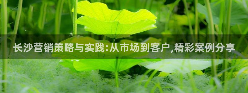 必赢官网app下载安装最新版本