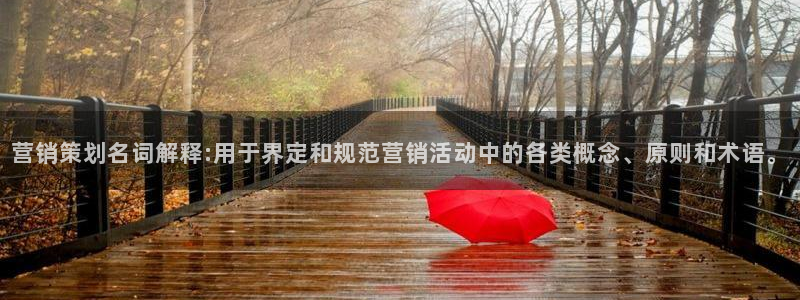 必赢科技中国有限公司