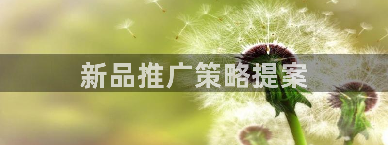 必赢网络游戏平台