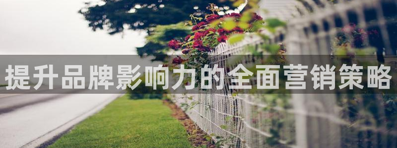 必赢8111e