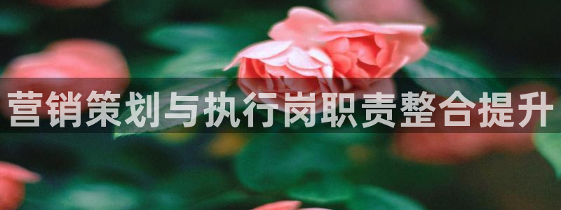 必赢手机app下载 最新版