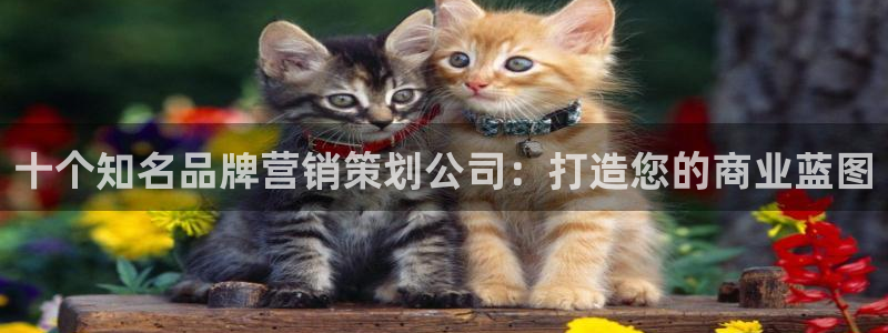 必赢官网网站入口下载