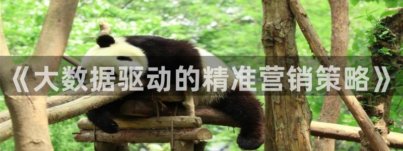 必赢下载安卓版