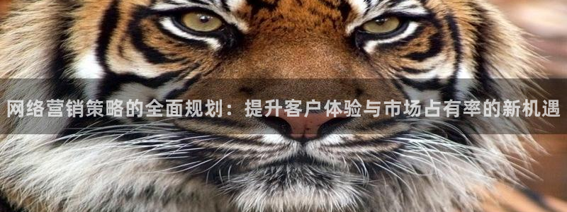 必赢棋脾9655app下载