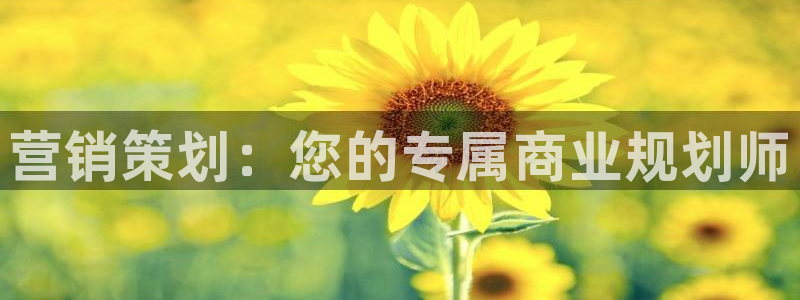 必赢公司