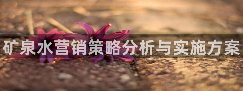 必赢网站平台登录