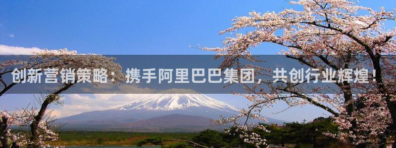 必赢平台电子