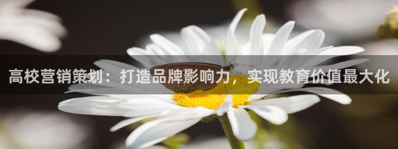 必赢平台怎么样可靠吗