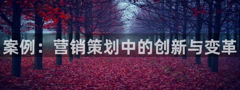 必赢手机app下载 最新版本