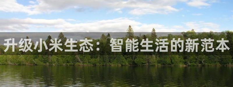 必赢手机app下载官网最新版