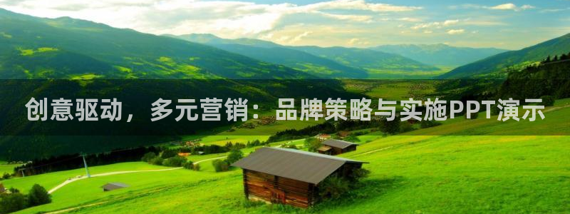 必赢国际437a：创意驱动，多