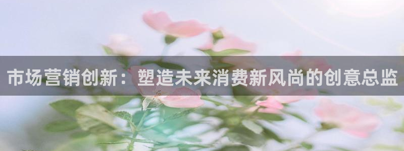 必赢客软件
