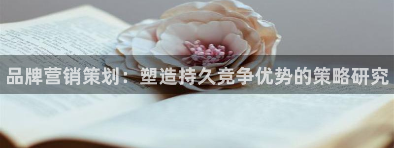必赢九五
