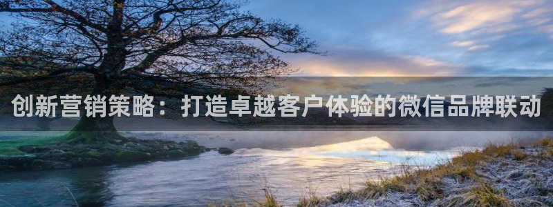 必赢公司是怎样的一家企业