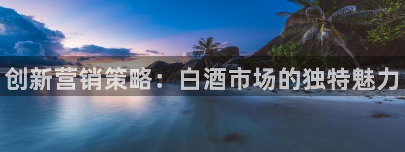 必赢3003网官：创新营销策略
