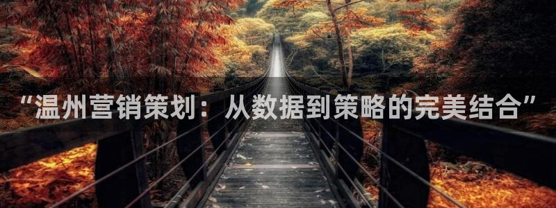 必赢国际苹果怎么下载：“温州营