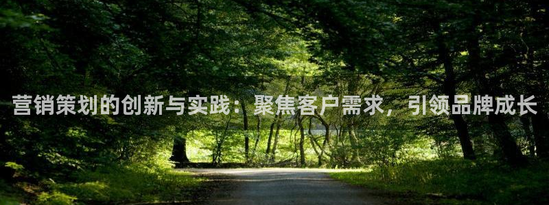 必赢棋盘app下载：营销策划的