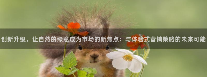 必赢3003+会员账号