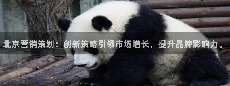 必赢平台官方客服电话