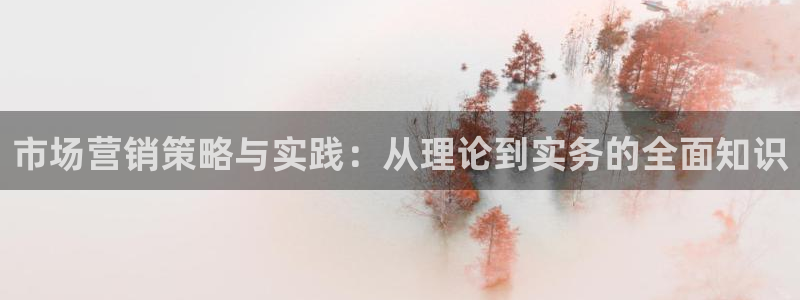 95必赢网址多少：市场营销策略