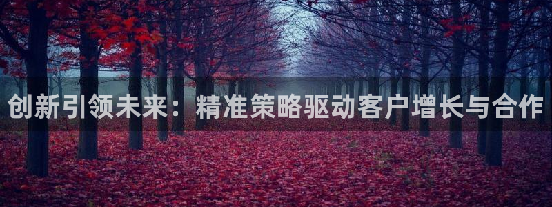 必赢手机版app下载官网