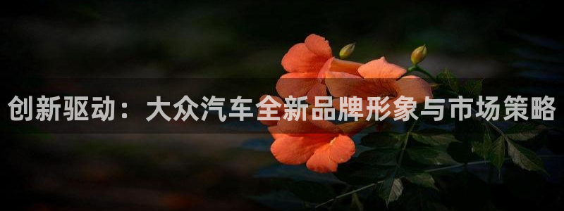 必赢国际苹果怎么下载