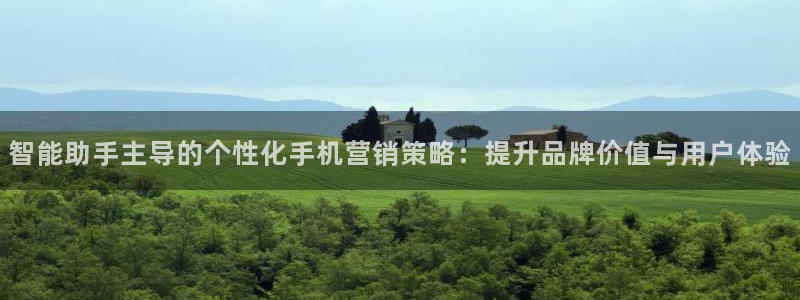 必赢集团网站：智能助手主导的个