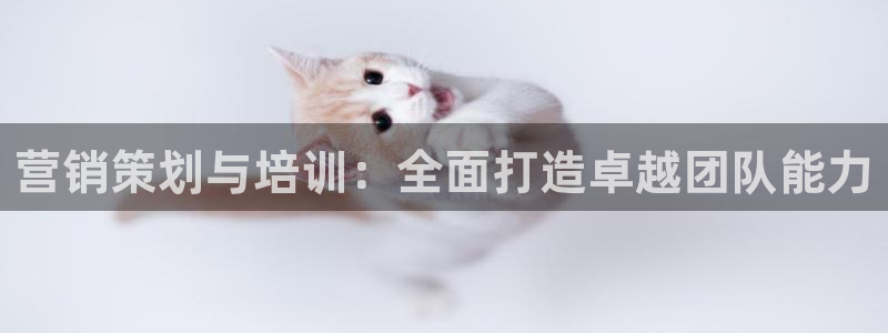 必赢官网入口下载安装